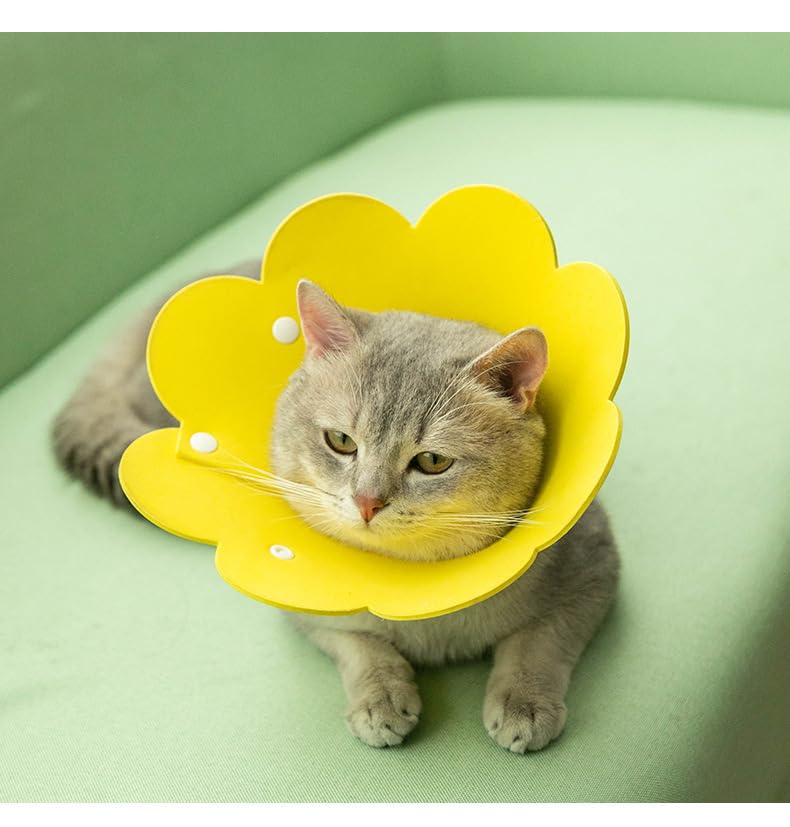 エリザベスカラー 猫 犬 、猫 保護カバー、舐め防止 エメナルド L Amazon | エリザベスカラー猫 犬 、猫 保護カバー、舐め防止